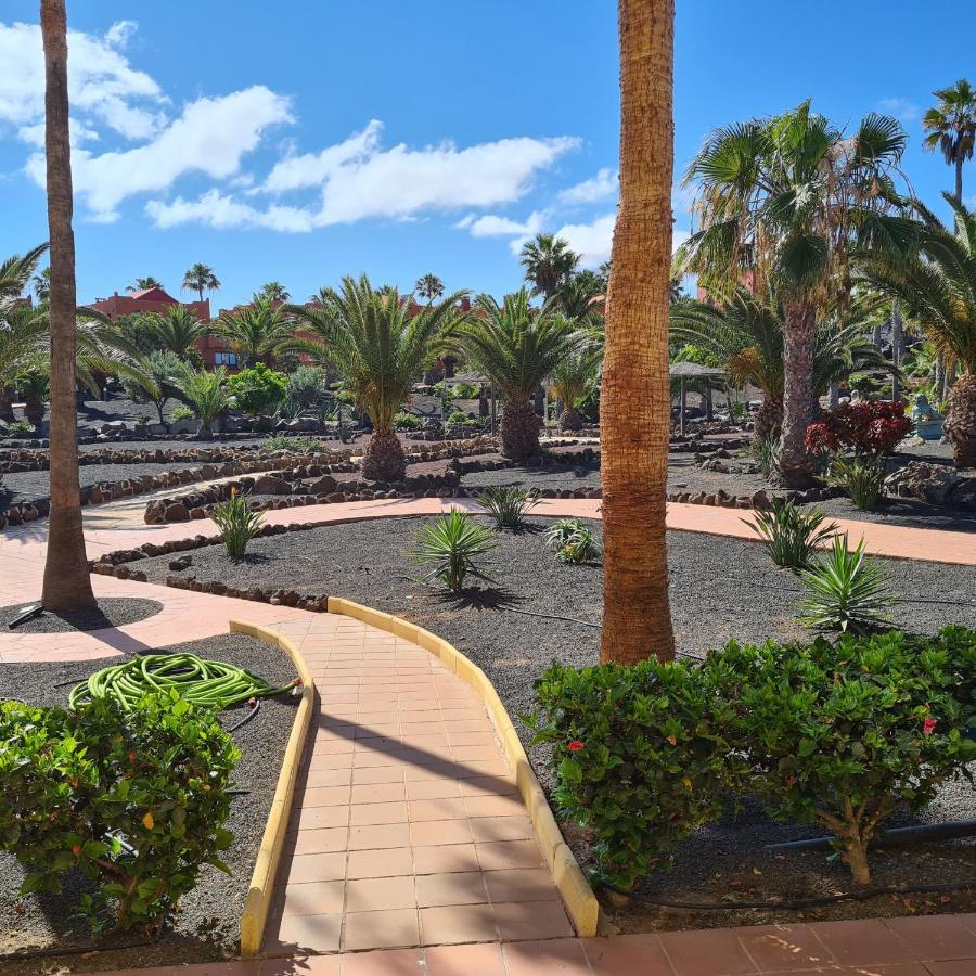 Ferienwohnung Oasis Royal F217 Corralejo Exterior foto